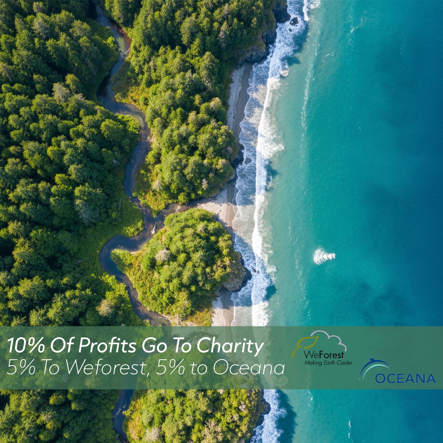 motoreco gives 10% of profits to charity