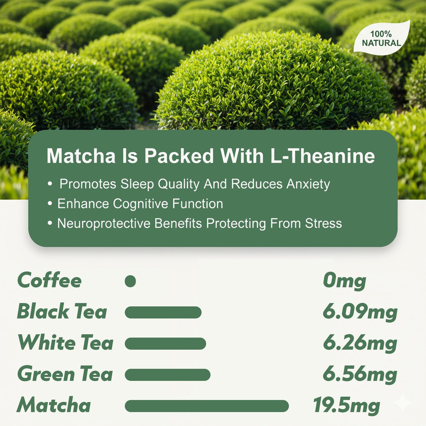 <MAtcha is high in Ltheanine, as compared to other alternatives