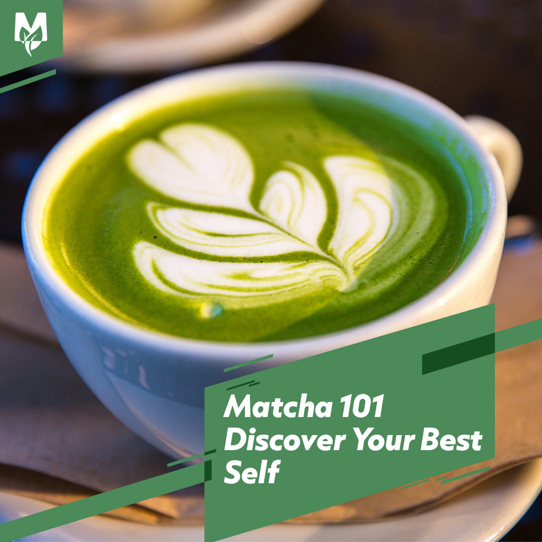 Matcha 101: Unveiling the Magic of Green Gold