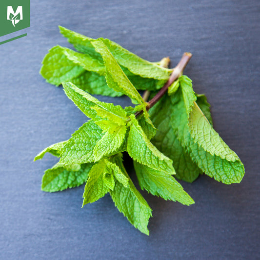 peppermint leaf