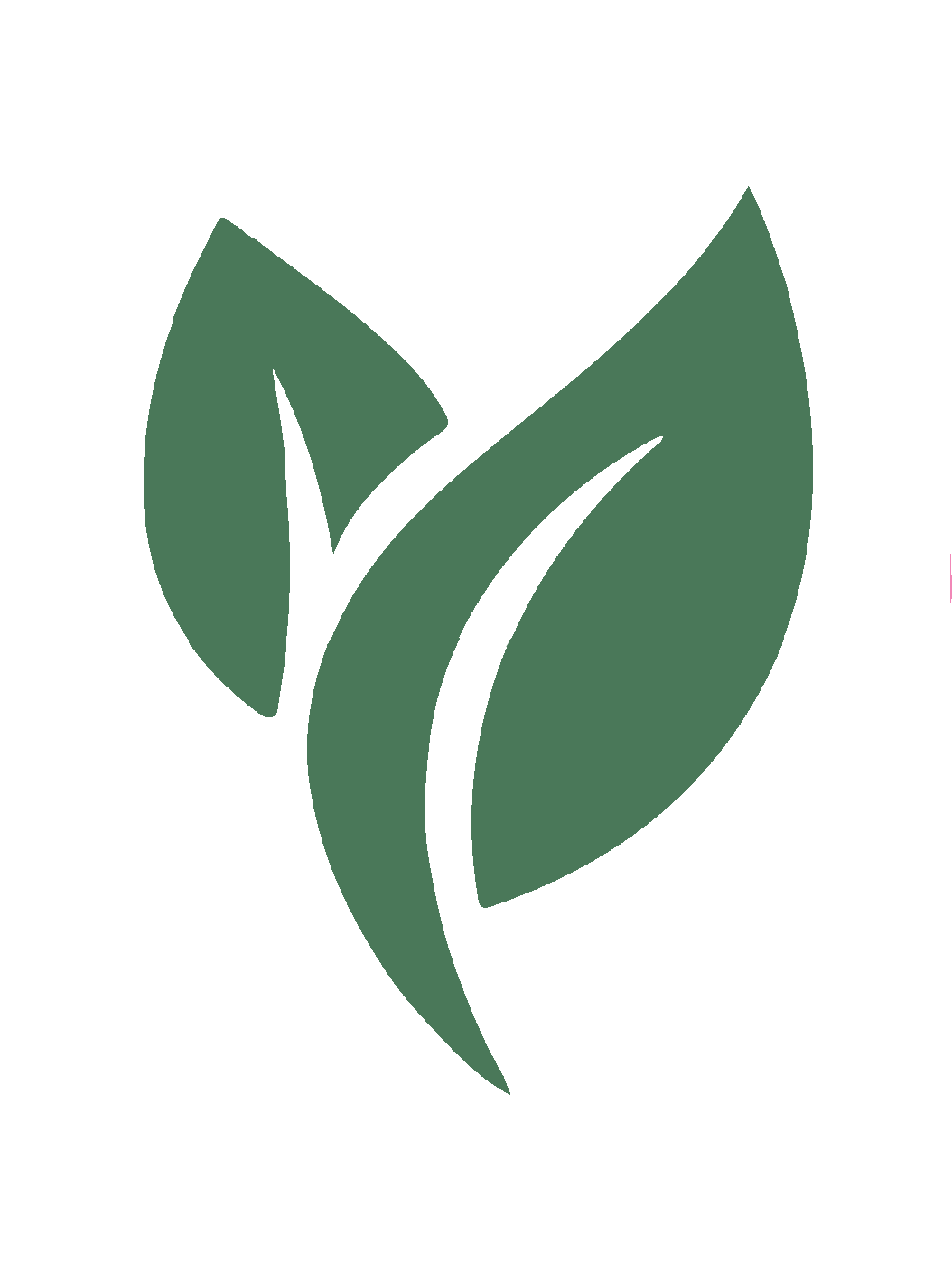 Green leaf icon on a white background